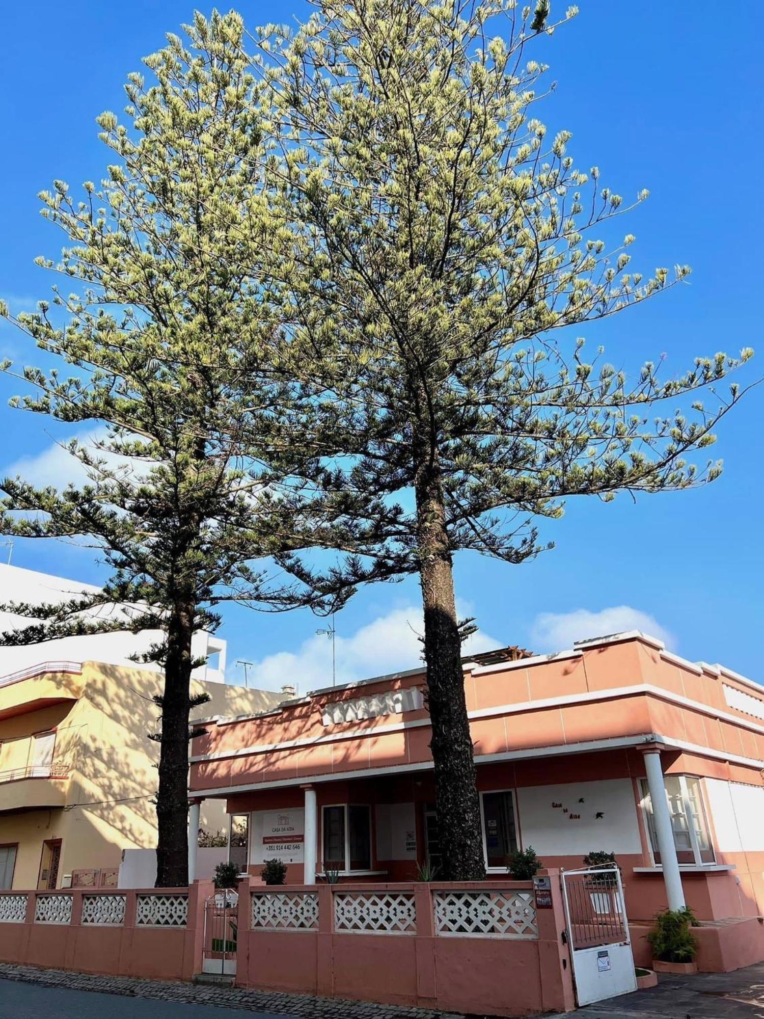 Casa Da Aida Lägenhet Fuzeta Exteriör bild